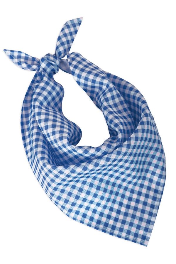 Zakdoek Blauw / Wit Geblokt 62 X 44