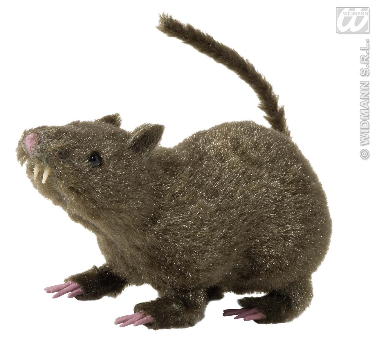 Harige Rat, 21 Centimeter