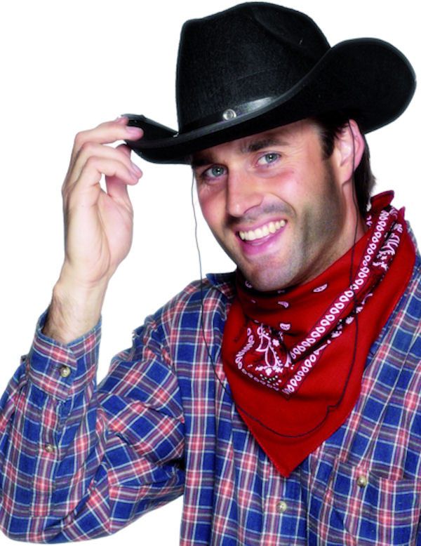 Bandana Cowboy