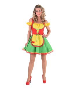 De Kleurigste Dirndl Van Het Bierfeest Vrouw Kostuum