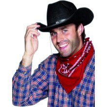 Bandana Cowboy