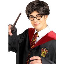 Harry Potter Student Nerd Pruik