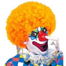 Afro Clownpruik Krullen, Oranje